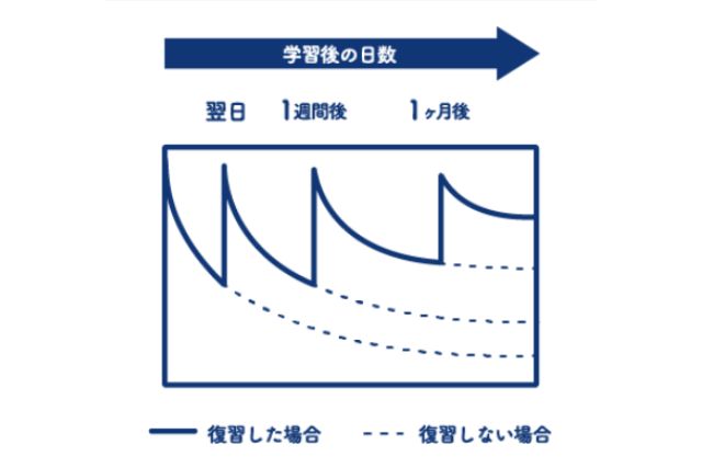 エビングハウスフセンの活用で学習効率を最大化